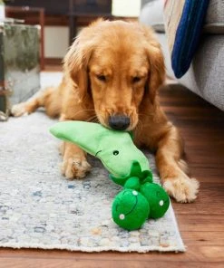 Frisco Plush Squeaking 2-in-1 Tearable Peapod & Peas Dog Toy -PetNest Shop 213791 PT8. SY630 V1600488484