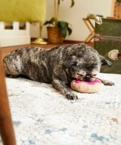 Frisco Strawberry Frosted Donut Dense Foam Squeaky Dog Toy -PetNest Shop 213804 PT8. SY630 V1600488492