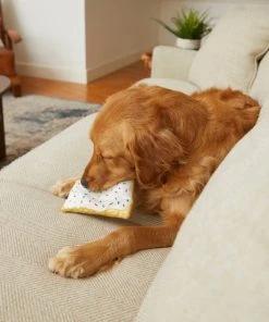 Frisco Frosted Pastry Plush Dog Toy -PetNest Shop 213812 PT8. SY630 V1600488502