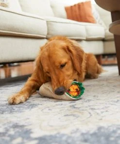 Frisco Plush Burrito Dog Toy -PetNest Shop 213834 PT8. SY630 V1600488426