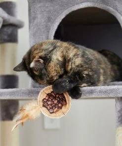 Frisco Bag-of-Coffee Beans Cat Toy with Catnip 7 Frisco Bag-of-Coffee Beans Cat Toy with Catnip -PetNest Shop 213898 PT8. SY630 V1600488454