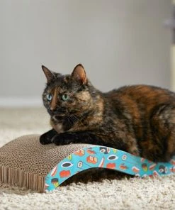 Frisco Sushi Delight Wave Cat Scratcher -PetNest Shop 213908 PT8. SY630 V1600488470