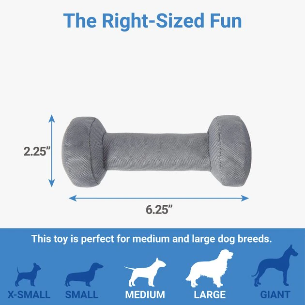 Frisco Hide-and-Seek USA Gym Bag Dog Toy 6 Frisco Hide-and-Seek USA Gym Bag Dog Toy - Image 4