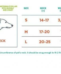 Frisco Patterned Polyester Martingale Dog Collar with Buckle -PetNest Shop 214410 PT1. SY630 V1583418498