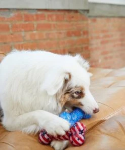 Frisco Americana TPR Bone Squeaky Dog Toy, 2 count -PetNest Shop 214651 PT6. SY630 V1597596450