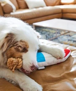 Frisco Summer Fun Plush & Rope Popsicle Dog Toy -PetNest Shop 214703 PT6. SY630 V1597596505