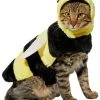 Frisco Bumble Bee Dog & Cat Costume -PetNest Shop 215489 MAIN. SY630 V1625076185