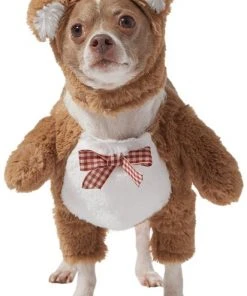 Frisco Front Walking Teddy Bear Dog & Cat Costume -PetNest Shop 215500 PT4. SY630 V1625077403