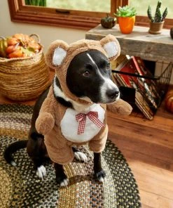 Frisco Front Walking Teddy Bear Dog & Cat Costume -PetNest Shop 215500 PT8. SY630 V1599140159