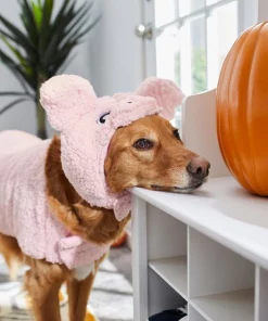 Frisco Pig Dog & Cat Costume -PetNest Shop 215548 PT8. SY630 V1624341805