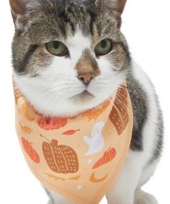 Frisco Whimsical Halloween Dog & Cat Bandana -PetNest Shop 215651 PT2. SY630 V1637656899