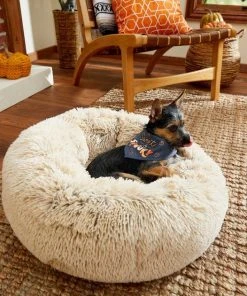 Frisco Sweet & Spooky Dog & Cat Bandana -PetNest Shop 215671 PT3. SY630 V1632420698