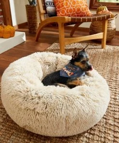 Frisco Sweet & Spooky Dog & Cat Bandana -PetNest Shop 215671 PT8. SY630 V1599016893