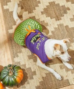 Frisco Let's Get Wicked Dog & Cat Dress -PetNest Shop 215769 PT5. SY630 V1633068120