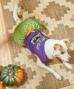 Frisco Let's Get Wicked Dog & Cat Dress -PetNest Shop 215769 PT8. SY630 V1599225360