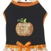 Frisco Pumpkin Patch Cutie Dog & Cat Dress