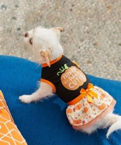 Frisco Pumpkin Patch Cutie Dog & Cat Dress -PetNest Shop 215783 PT8. SY630 V1599001006