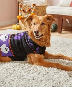 Frisco Spooky Ghost Dog & Cat Sweater -PetNest Shop 215797 PT8. SY630 V1599226290