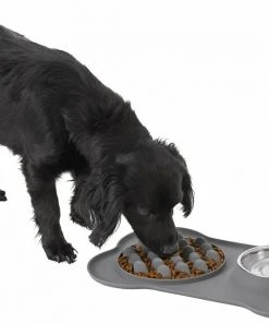 Frisco Silicone Slow Feeder Mat with Stainless Steel Bowl, 1.75 Cups -PetNest Shop 215983 PT5. SY630 V1605666752