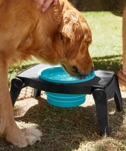 Frisco Elevated Collapsible Travel Bowl, 8 Cups 11 Frisco Elevated Collapsible Travel Bowl, 8 Cups -PetNest Shop 216013 PT7. SY630 V1605653830