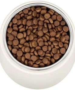 Frisco Slanted Stainless Steel Bowl -PetNest Shop 216028 PT4. SY630 V1591020437