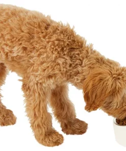 Frisco Slanted Stainless Steel Bowl -PetNest Shop 216028 PT6. SY630 V1605666119