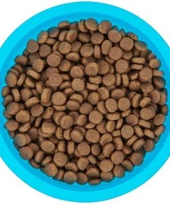 Frisco Plastic Suction Bowl, Blue, 3 Cups -PetNest Shop 216037 PT4. SY630 V1591020655