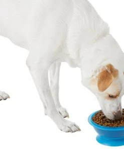 Frisco Plastic Suction Bowl, Blue, 3 Cups -PetNest Shop 216037 PT6. SY630 V1605662823