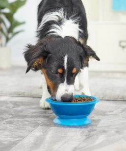 Frisco Plastic Suction Bowl, Blue, 3 Cups -PetNest Shop 216037 PT7. SY630 V1605666113