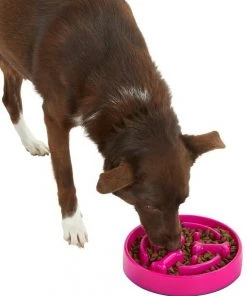 Frisco Bone Shaped Ridges Slow Feed Bowl, 3 Cups -PetNest Shop 216040 PT6. SY630 V1605656524