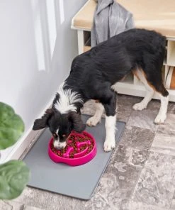 Frisco Bone Shaped Ridges Slow Feed Bowl, 3 Cups -PetNest Shop 216040 PT7. SY630 V1605655950