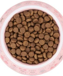 Frisco Pink Cute Cats Melamine Cat Bowl, 1.5 Cup 12 Frisco Pink Cute Cats Melamine Cat Bowl, 1.5 Cup -PetNest Shop 216043 PT4. SY630 V1591020694
