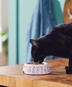 Frisco Pink Cute Cats Melamine Cat Bowl, 1.5 Cup 13 Frisco Pink Cute Cats Melamine Cat Bowl, 1.5 Cup -PetNest Shop 216043 PT7. SY630 V1633025211