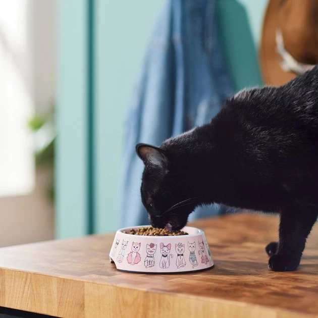 Frisco Pink Cute Cats Melamine Cat Bowl, 1.5 Cup 8 Frisco Pink Cute Cats Melamine Cat Bowl, 1.5 Cup - Image 6