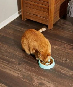 Frisco Fish Shaped Ridges Slow Feed Bowl, Light Blue, 1.25 cups -PetNest Shop 216046 PT7. SY630 V1605658037