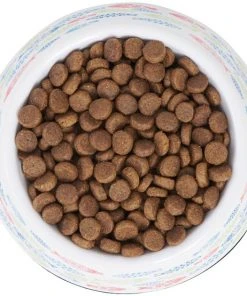 Frisco Colorful Fish Melamine Cat Bowl, 1.5 Cups 12 Frisco Colorful Fish Melamine Cat Bowl, 1.5 Cups -PetNest Shop 216047 PT4. SY630 V1591020721