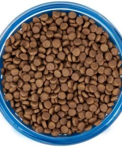 Frisco Chevron Design Glass Bowl with Silicone Sleeve, 4.25 Cups -PetNest Shop 216049 PT4. SY630 V1591020735