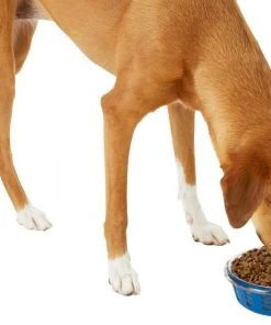 Frisco Chevron Design Glass Bowl with Silicone Sleeve, 4.25 Cups -PetNest Shop 216049 PT6. SY630 V1605654757