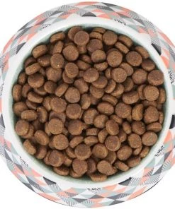 Frisco Colorful Geometric Melamine Bowl 13 Frisco Colorful Geometric Melamine Bowl -PetNest Shop 216052 PT4. SY630 V1591020745