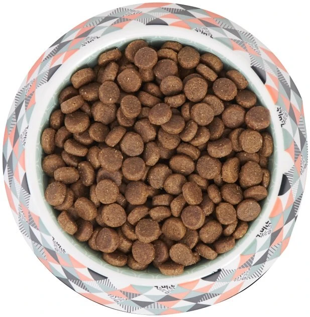 Frisco Colorful Geometric Melamine Bowl 7 Frisco Colorful Geometric Melamine Bowl - Image 5