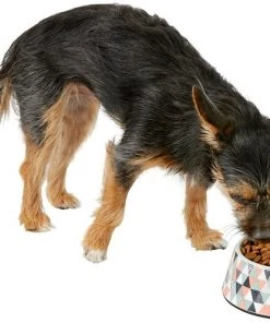 Frisco Colorful Geometric Melamine Bowl 14 Frisco Colorful Geometric Melamine Bowl -PetNest Shop 216052 PT6. SY630 V1605657120