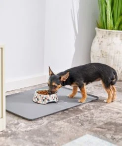 Frisco Colorful Geometric Melamine Bowl 15 Frisco Colorful Geometric Melamine Bowl -PetNest Shop 216052 PT7. SY630 V1605652013