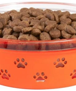 Frisco Paw Design Glass Bowl with Silicone Sleeve, 3 Cups -PetNest Shop 216055 PT2. SY630 V1591020760