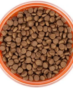 Frisco Paw Design Glass Bowl with Silicone Sleeve, 3 Cups -PetNest Shop 216055 PT4. SY630 V1591020767