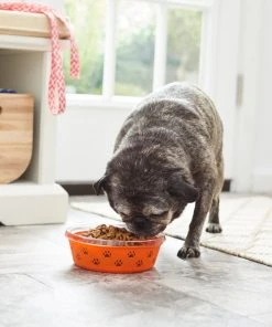 Frisco Paw Design Glass Bowl with Silicone Sleeve, 3 Cups -PetNest Shop 216055 PT7. SY630 V1605660423