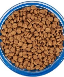 Frisco Cat Design Glass Bowl with Silicone Sleeve, 1.5 Cups -PetNest Shop 216057 PT4. SY630 V1591020958