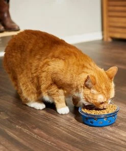 Frisco Cat Design Glass Bowl with Silicone Sleeve, 1.5 Cups -PetNest Shop 216057 PT7. SY630 V1605655021