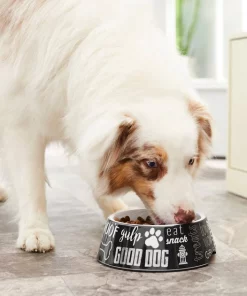 Frisco Doggie Melamine Bowl, 3 Cup -PetNest Shop 216062 PT7. SY630 V1605658314