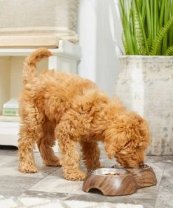 Frisco Double Stainless Steel Bowl, Wood Design, 0.75 Cup -PetNest Shop 216068 PT7. SY630 V1605666481