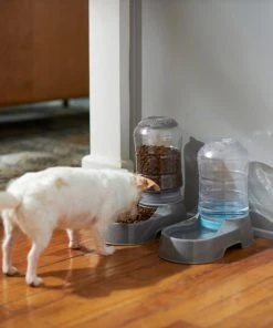 Frisco Circular Gravity Refill Dog & Cat Feeder -PetNest Shop 216701 PT5. SY630 V1603952523